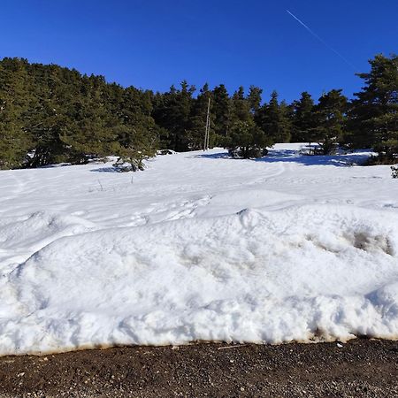 Appartement Greoliere Les Neiges Avec Exterieur Греольер Экстерьер фото
